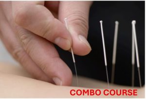 Functional Integrated Needling LEVEL 1&2 COMBO- West Palm Beach, FL - March 6-8 AND March 27-29, 2026