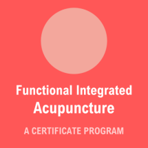 Functional Integrated Acupuncture - A Biomedical Approach - Certificate Program - Kingston ON - Aug1-2 & 15-16, 2026